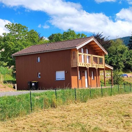 Chalet Les Boudieres 6 Pers Pres Gerardmer Cosy Billard Fraize Екстер'єр фото