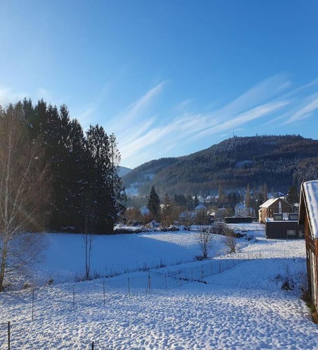 Chalet Les Boudieres 6 Pers Pres Gerardmer Cosy Billard Fraize Екстер'єр фото