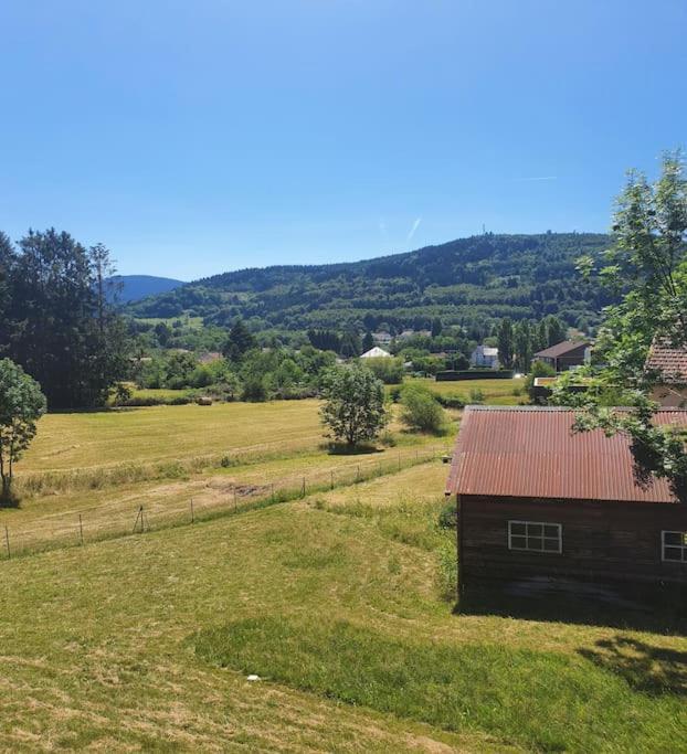Chalet Les Boudieres 6 Pers Pres Gerardmer Cosy Billard Fraize Екстер'єр фото